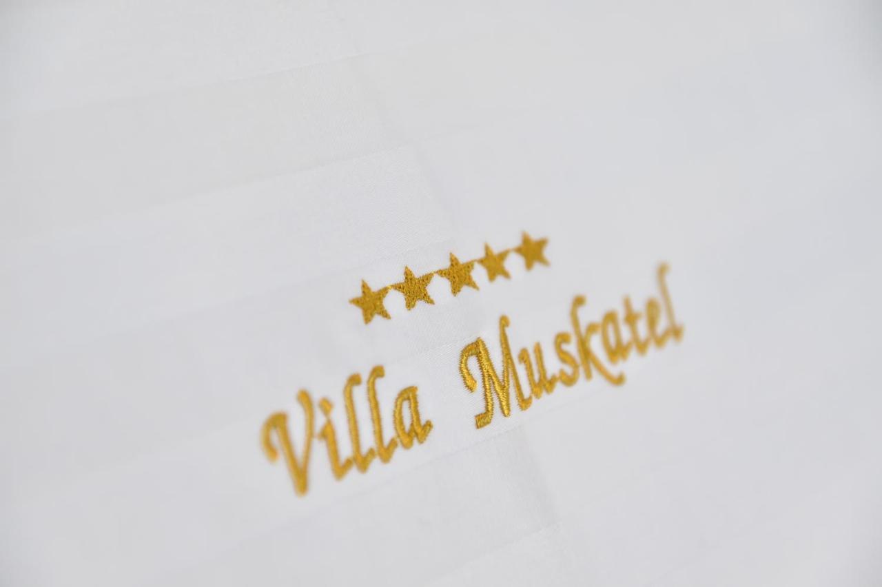Villa Muskatel -With Heated Pool Brzac 외부 사진