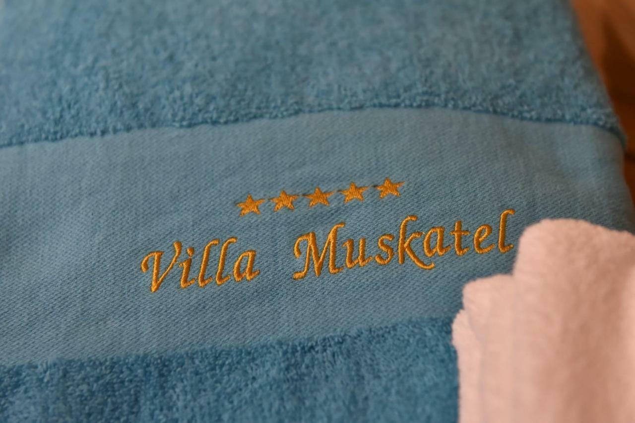 Villa Muskatel -With Heated Pool Brzac 외부 사진